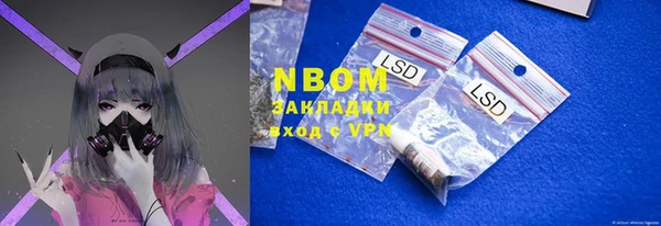 крисы Бронницы
