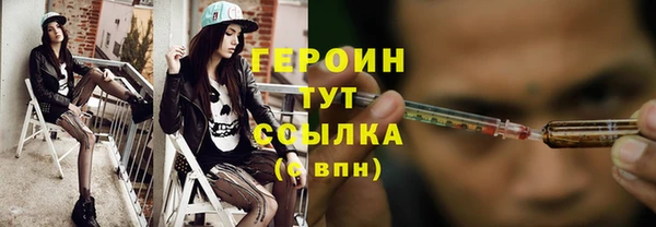 прущие грибы Бородино