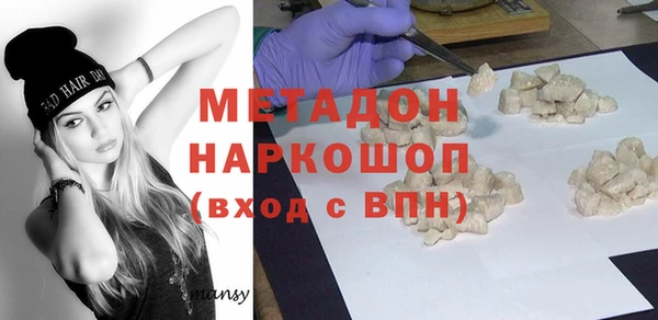 прущие грибы Бородино