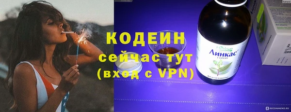 прущие грибы Бородино