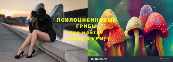 крисы Бронницы