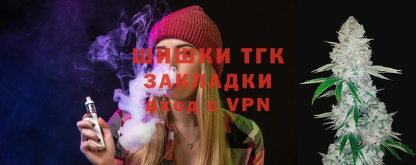 крисы Бронницы