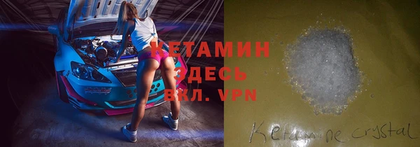 прущие грибы Бородино