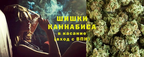 прущие грибы Бородино