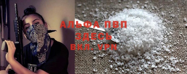 прущие грибы Бородино