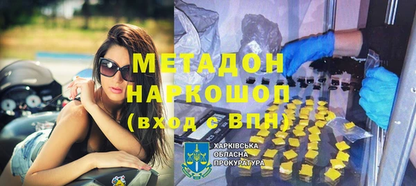 прущие грибы Бородино