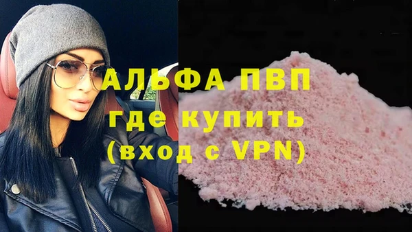 прущие грибы Бородино
