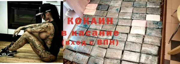 крисы Бронницы